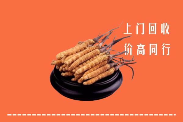 高价求购：宜昌回收散虫草
