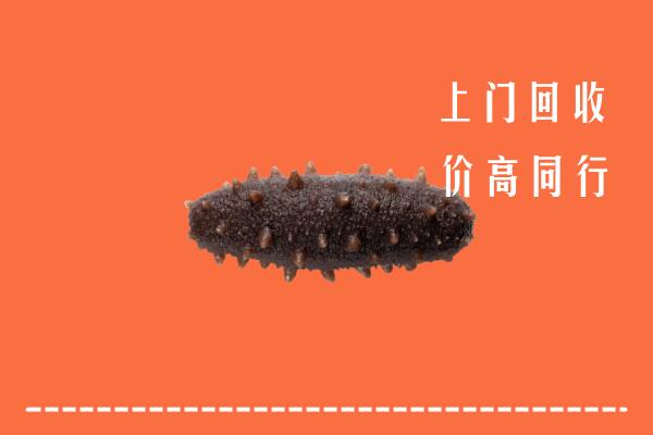 宜昌回收海参